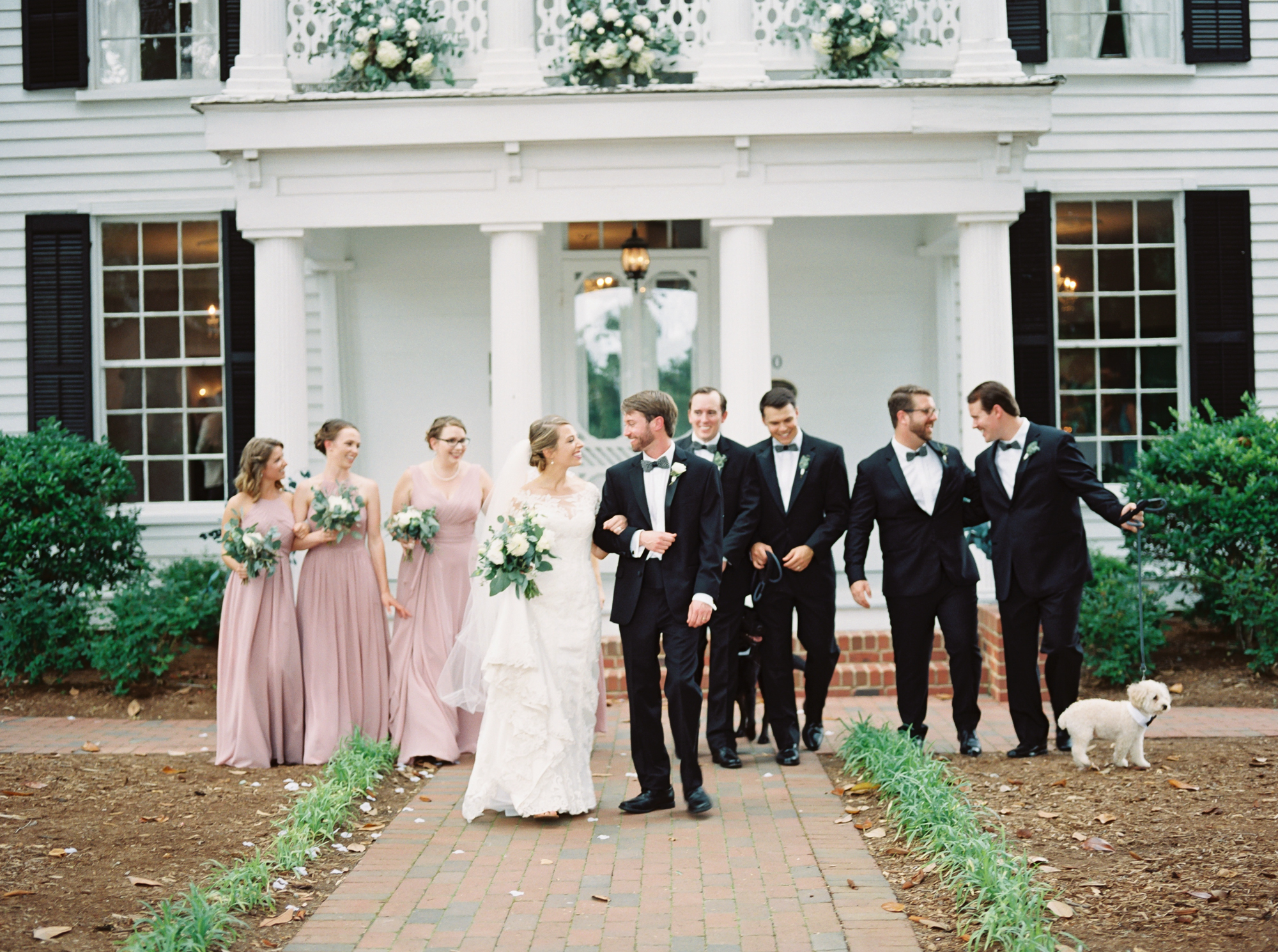 bridal party and dogs on film 