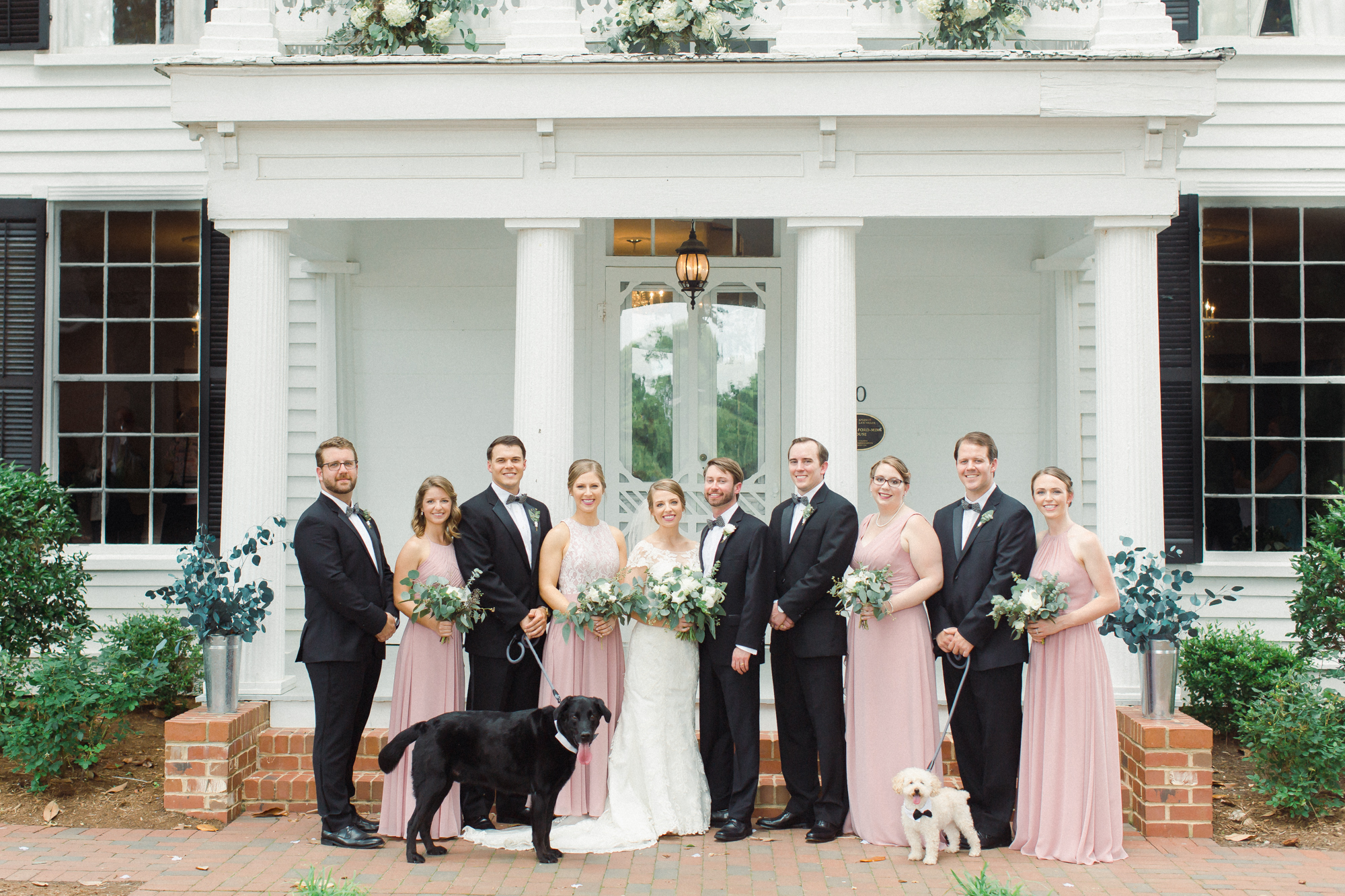 wedding party with dogs 