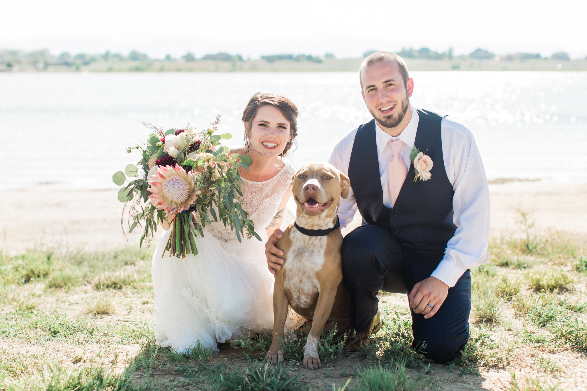 bride and groom with pitbull