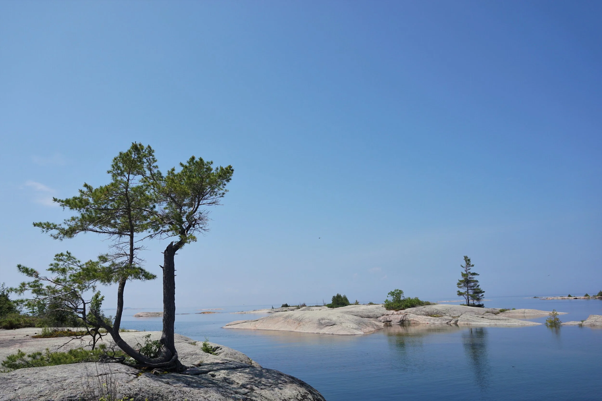 American Camp, Georgian Bay. July 2019