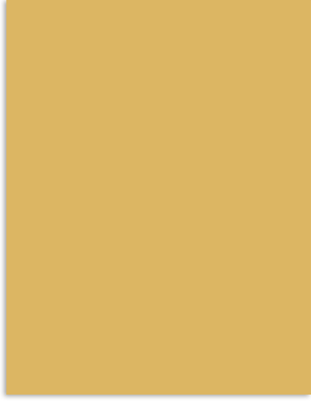 38LS.png