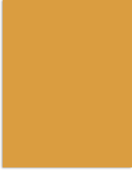 45LS.png