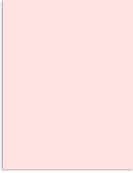 55LS.png