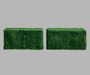 boxwoods.jpg