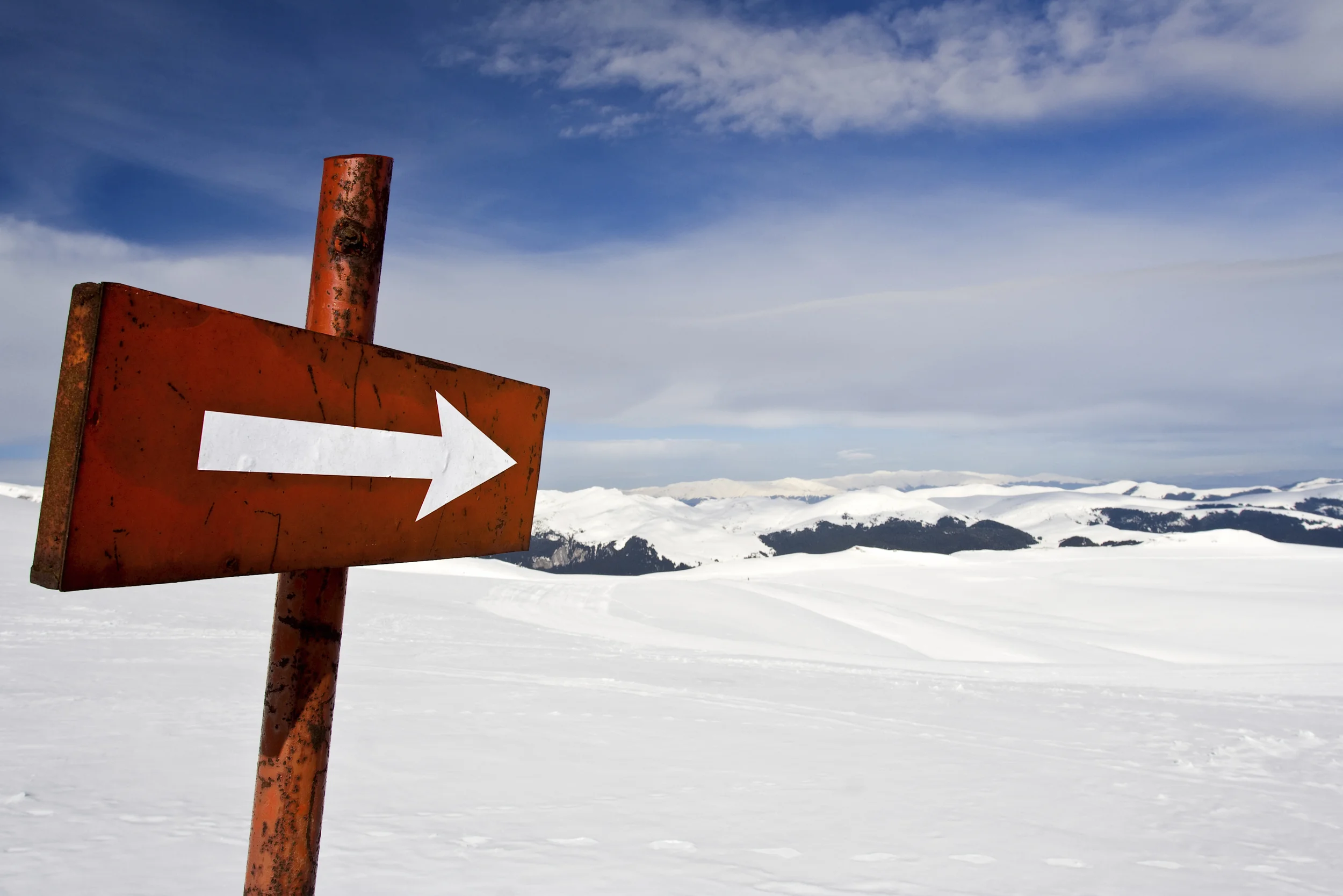 Are you disrupting traditional AEC industry processes to enhance client experience