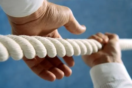 Partnering vs Minding the Store  