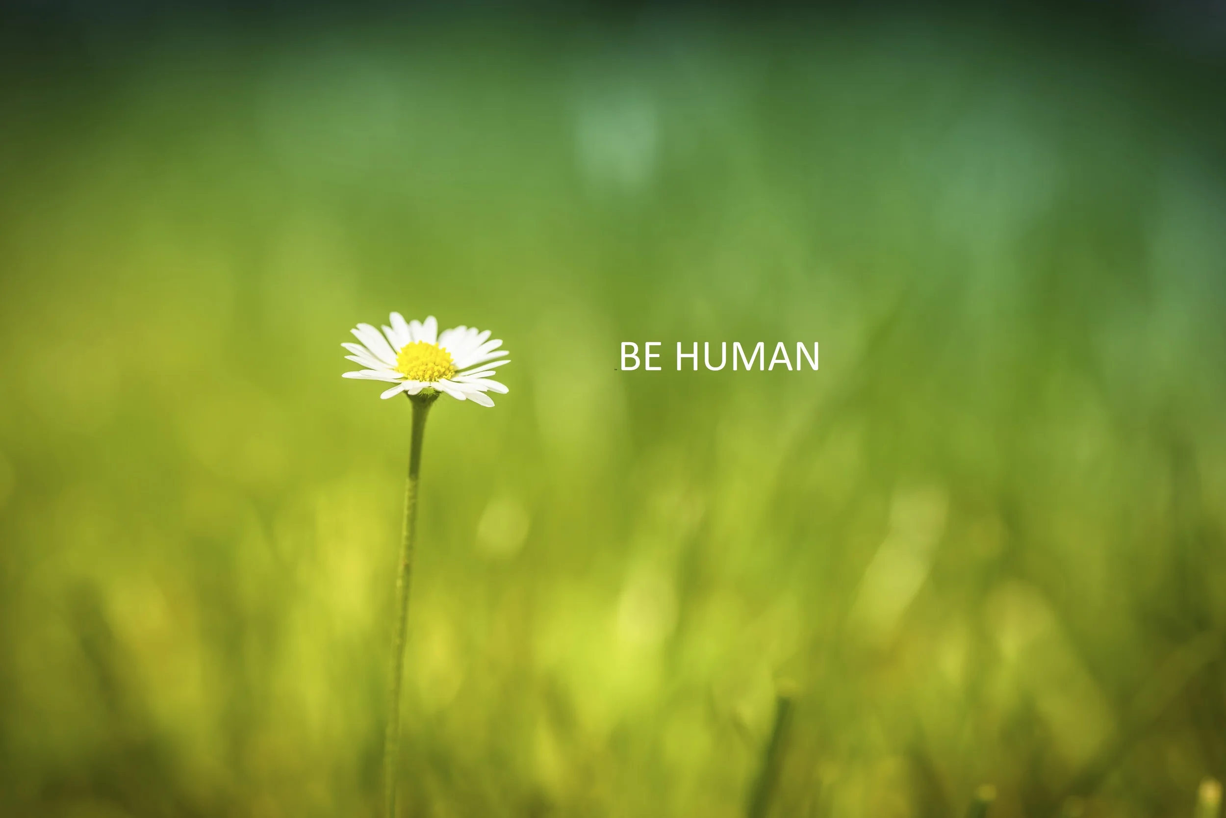 Are we not humans, so be humane?