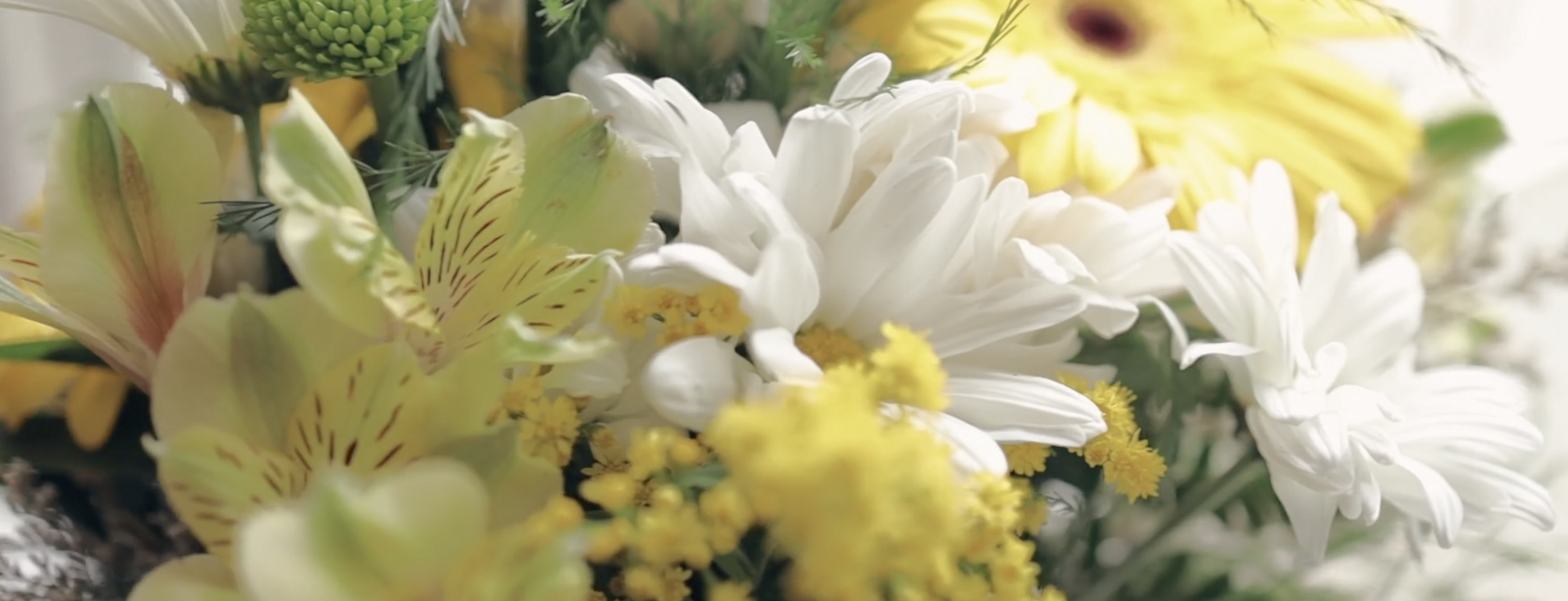 Wedding Pricing