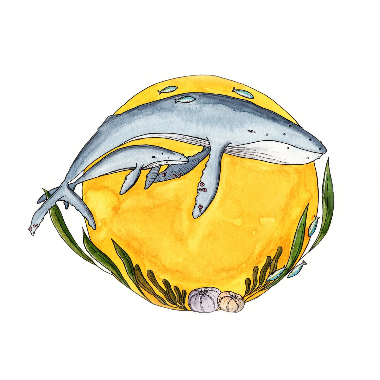 Whales.jpg
