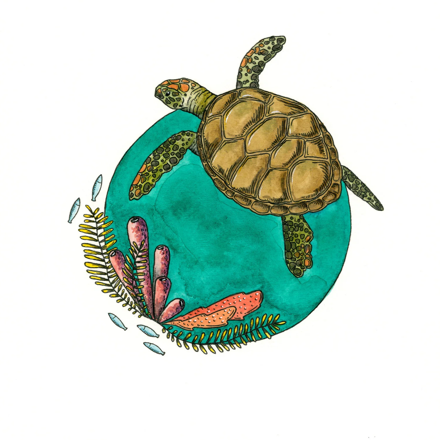 SavingSeas+-+Turtle.jpg