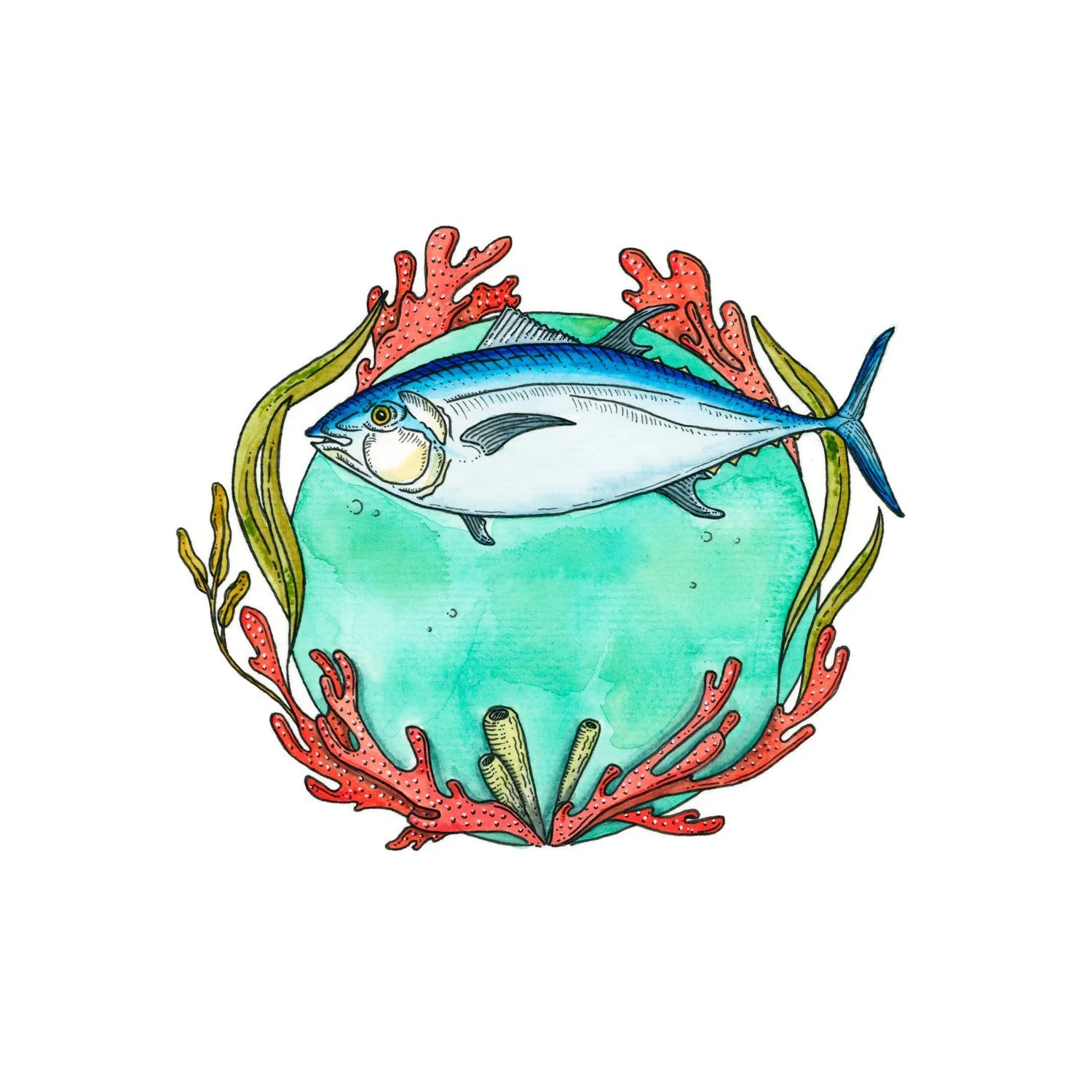 SavingSeas+Tuna.jpg
