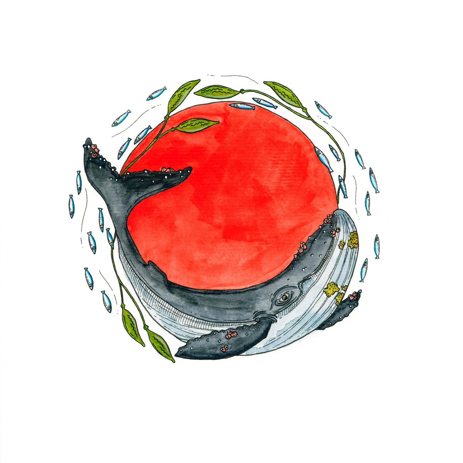 SavingSeas+Whale.jpg