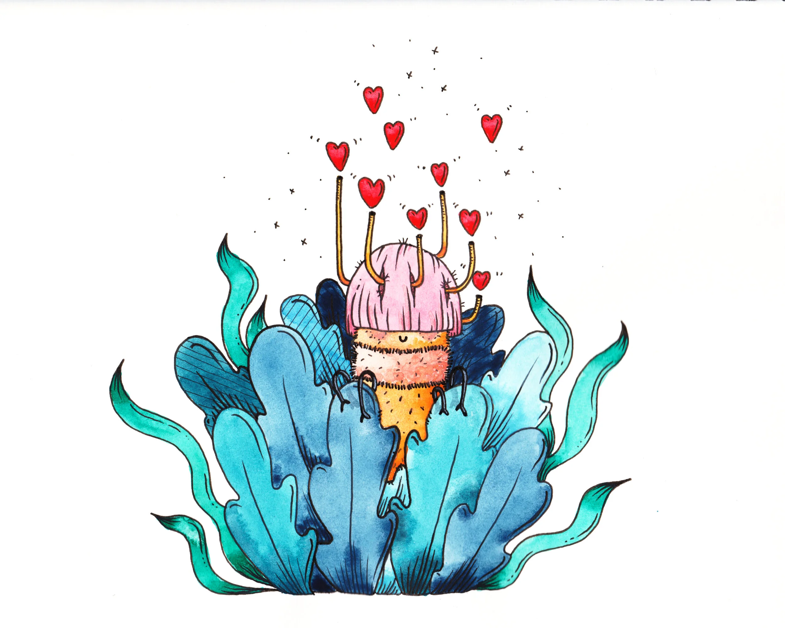 Love Bug.jpg