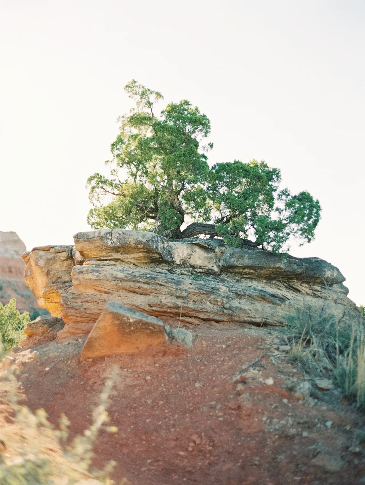 Becca Lea Photography- Fine Art Destination Wedding Photographer