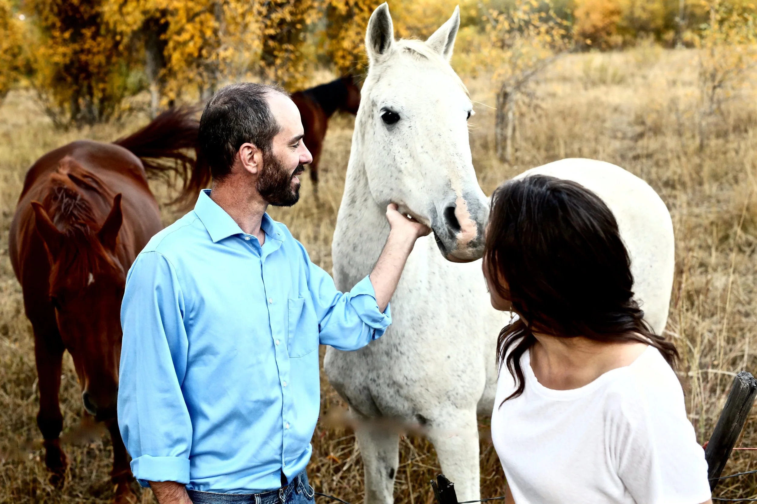 daniellezimmererphotography.steamboatsprings.steamboat.dreamboat.lifestylephotography.lifestylesessions.mountainphotographer.familyphotographer.