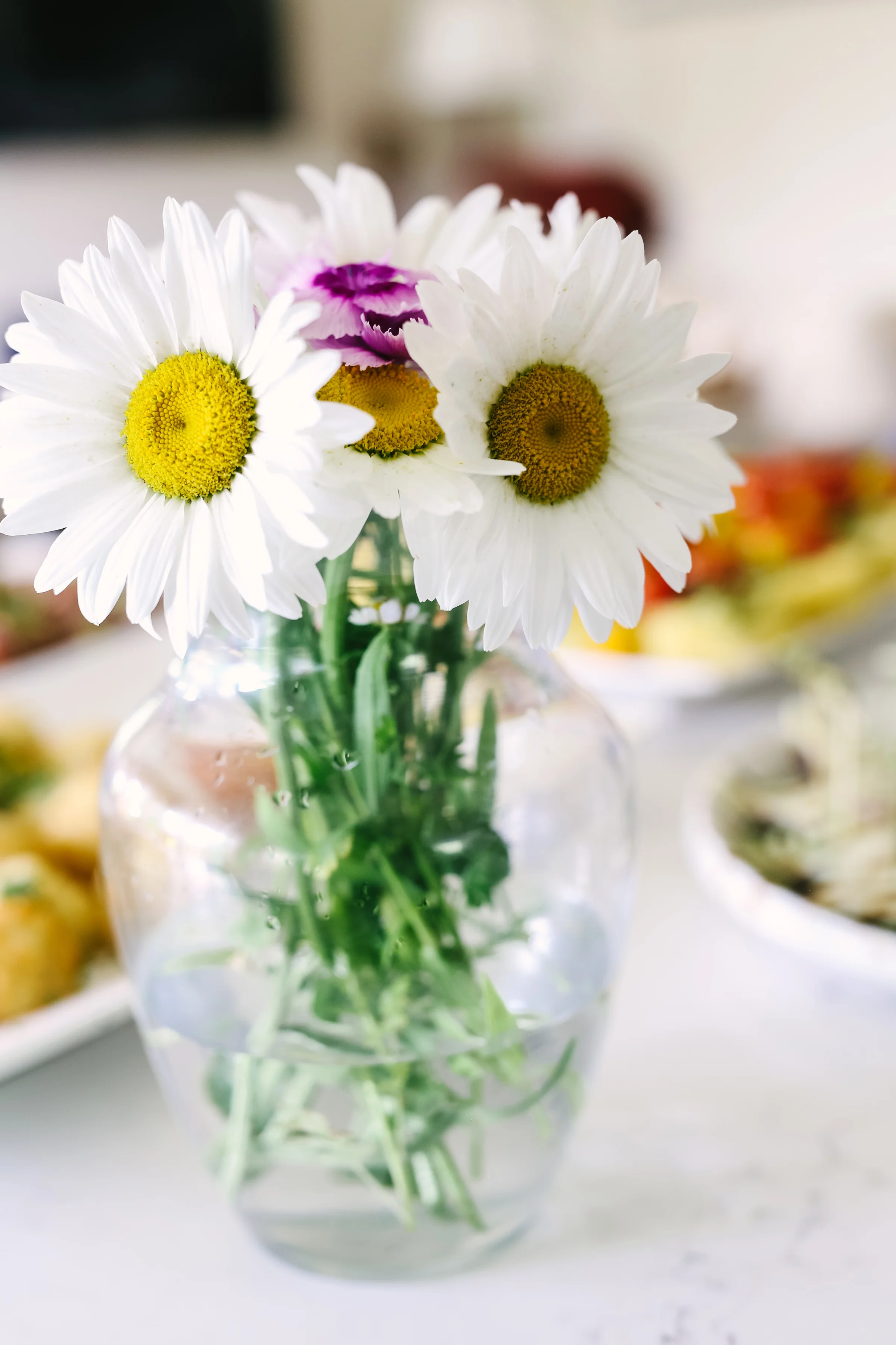 daniellezimmererphotography.newborn.lifestyle.steamboatspringsphotographer.portraitphotographer.baptism