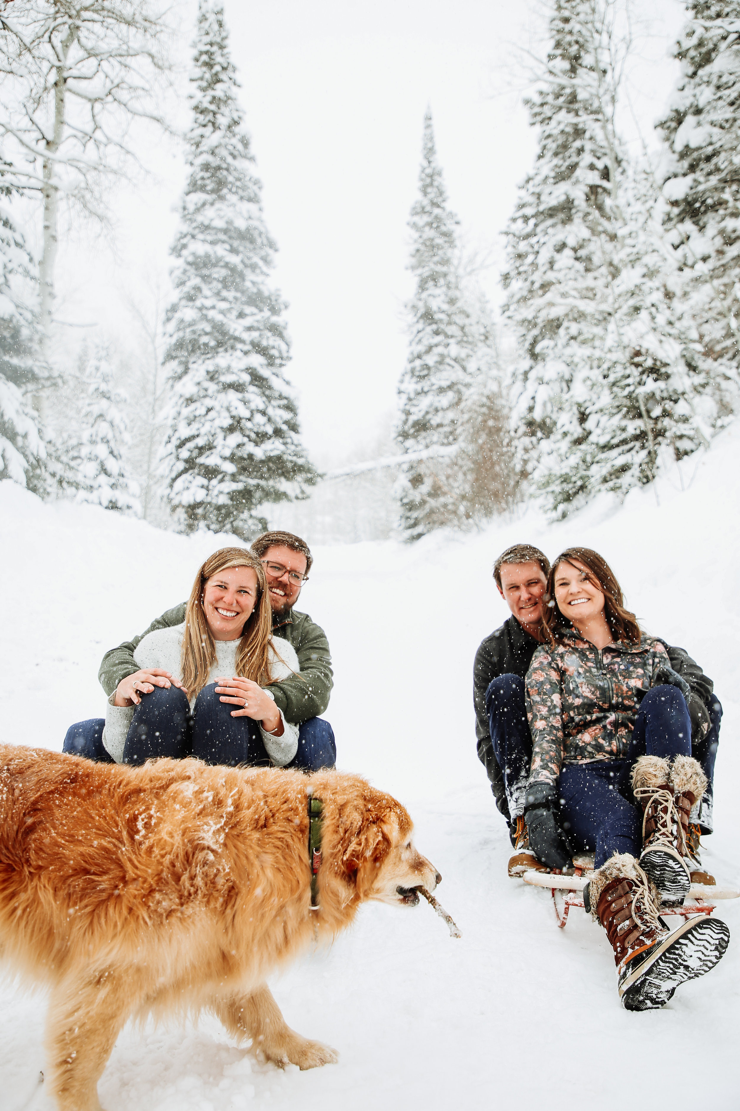 daniellezimmererphotography.daniellezimmererphotographer.steamboatspringsphotographer.steamboatspringsresortphotographer