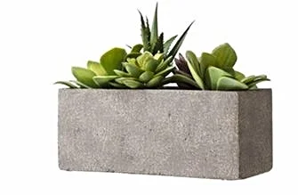 planter ceramic.JPG