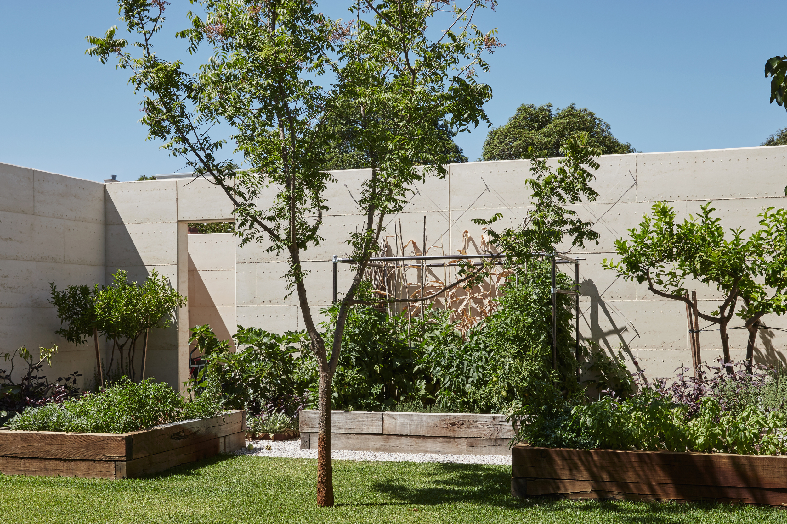 Subiaco-Residence-Perth-Garden-Beds-Design-Seedesign-Studio