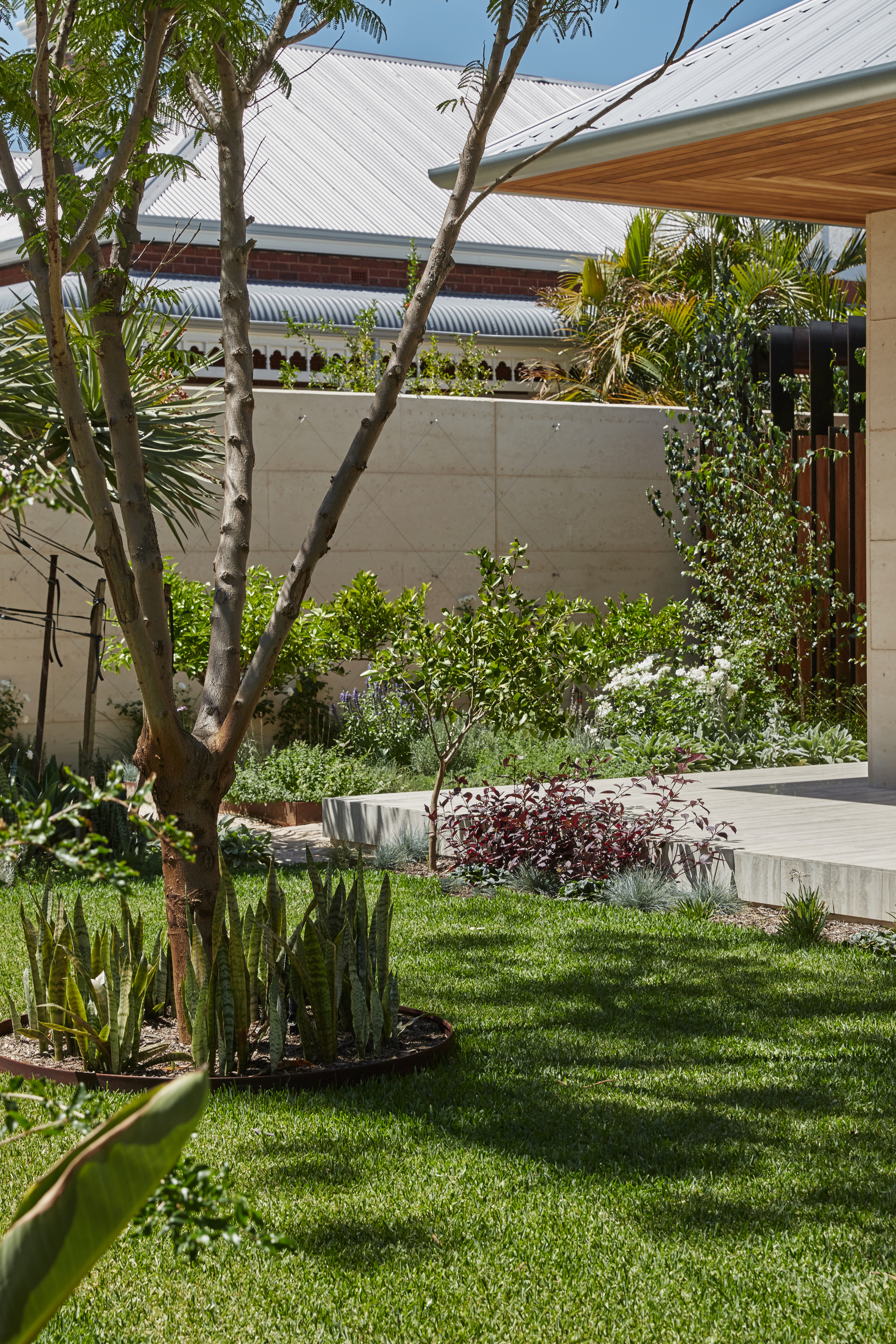 Subiaco-Residence-Perth-Plants-Garden-Design-Seedesign-Studio