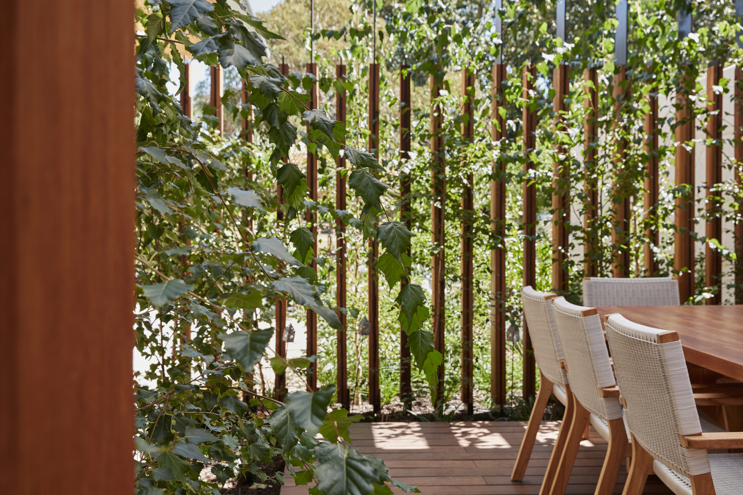 Subiaco-Residence-Perth-Courtyard-Garden-Design-Seedesign-Studio