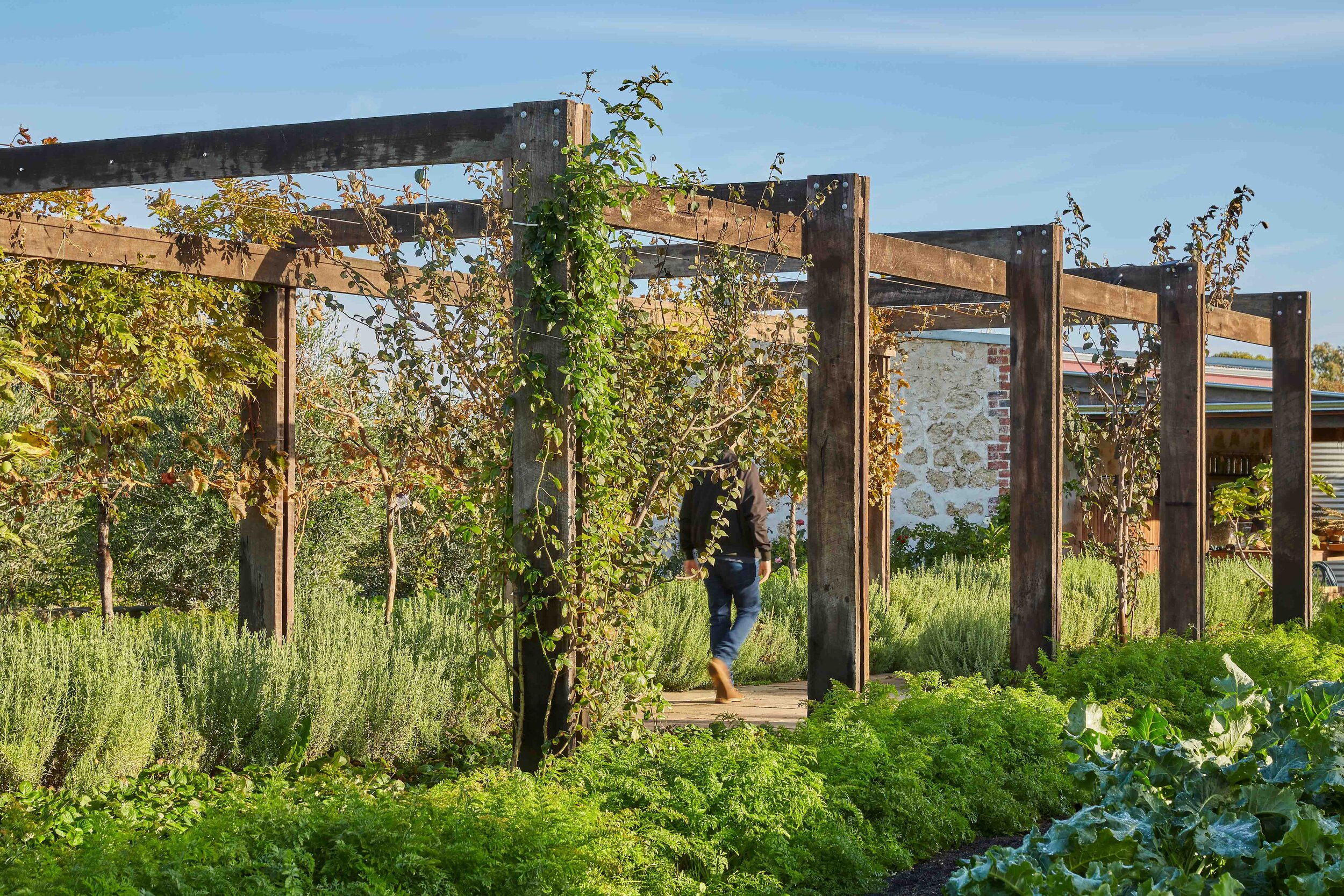 Coogee Common Visit Landscape Architecture and Urban Farming — See