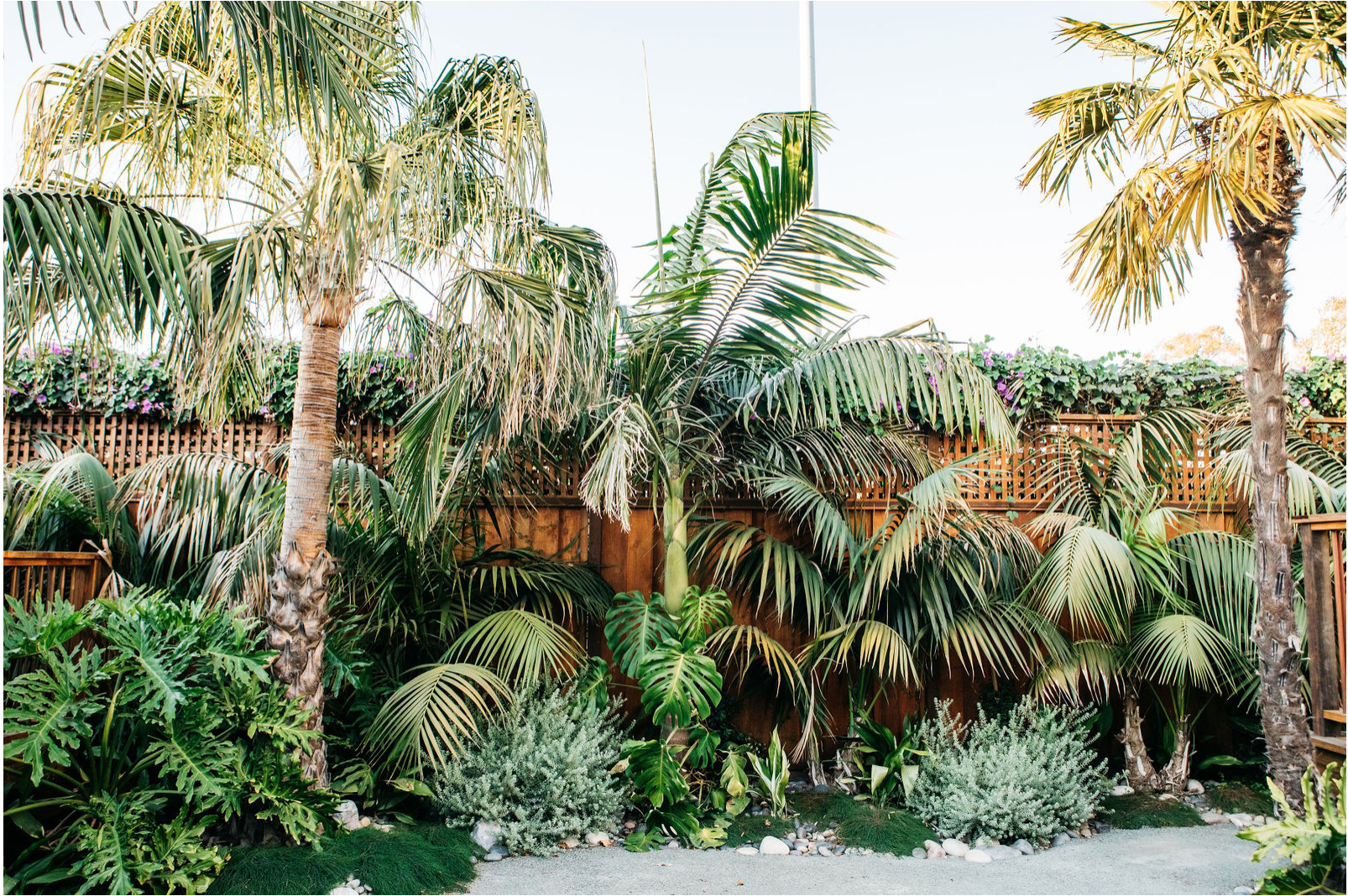 Screen Shot 2020-01-15 at 9.56.02 AM (1).PNG