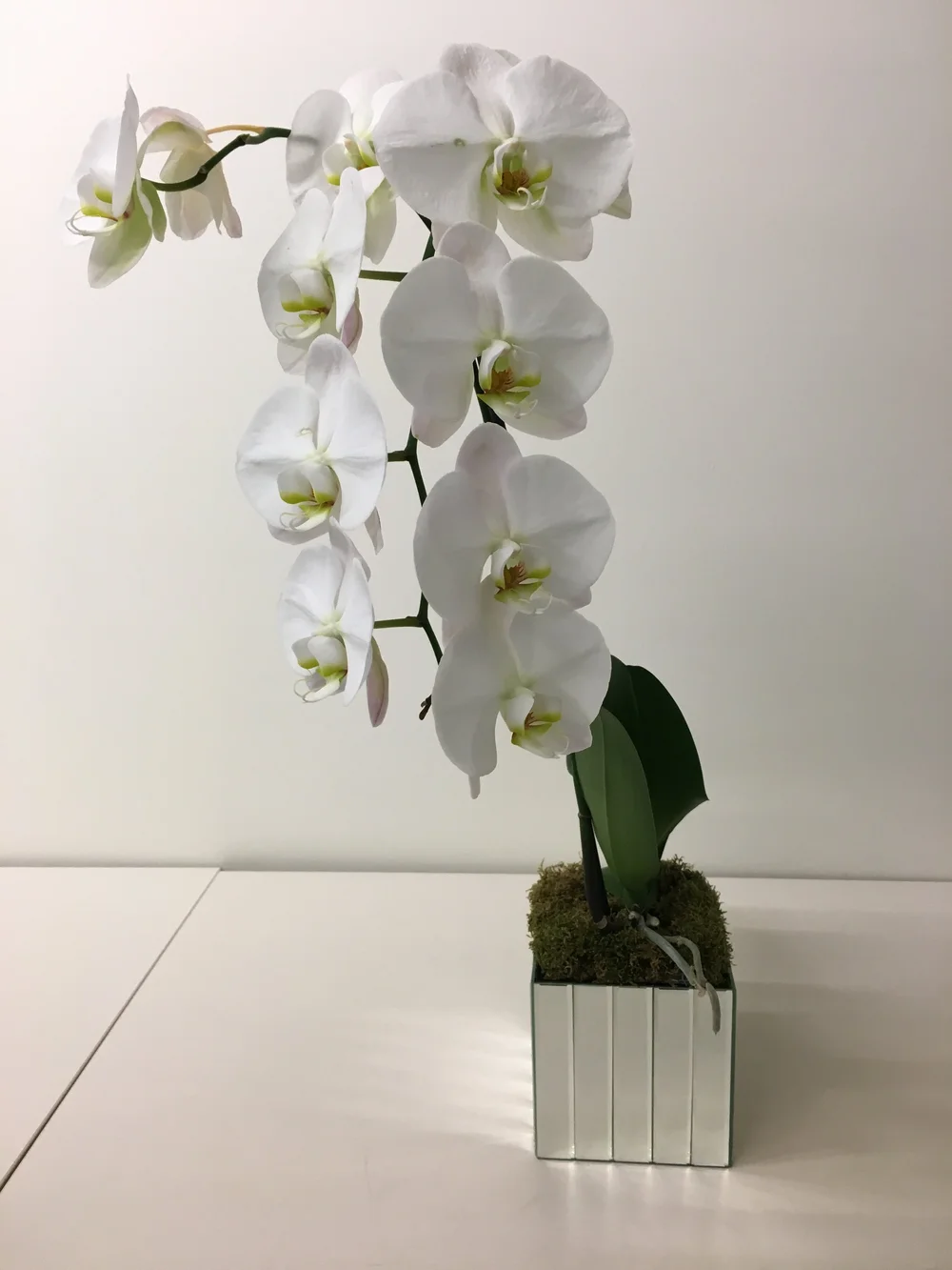 White Orchid In 5 3 4 Mirror Strips Cube Glass Vase Flowers By Yianni