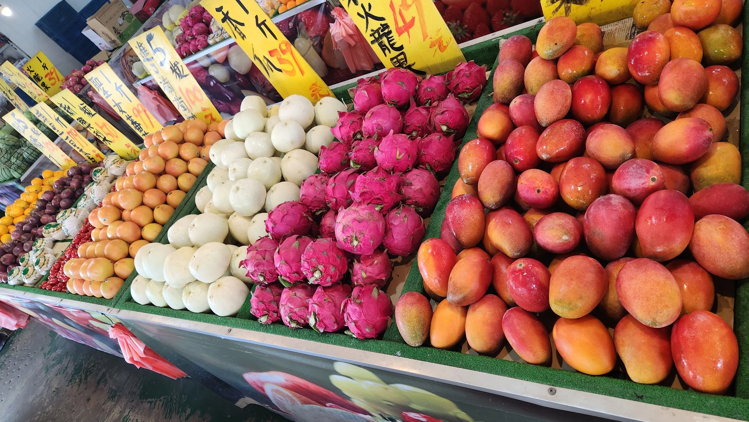 2024-07-13 16.55.16.jpg