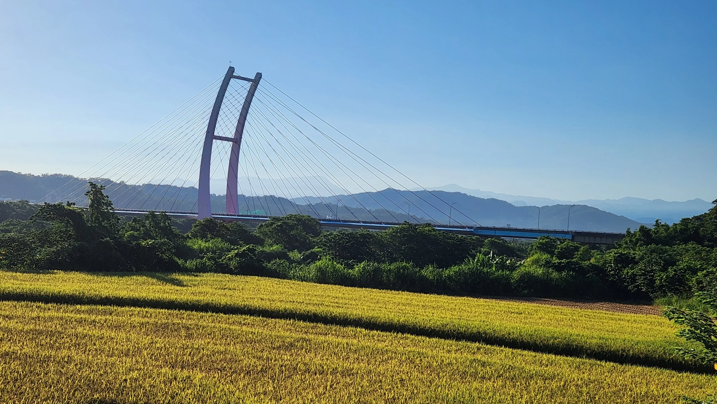 2024-07-04 06.44.48.jpg