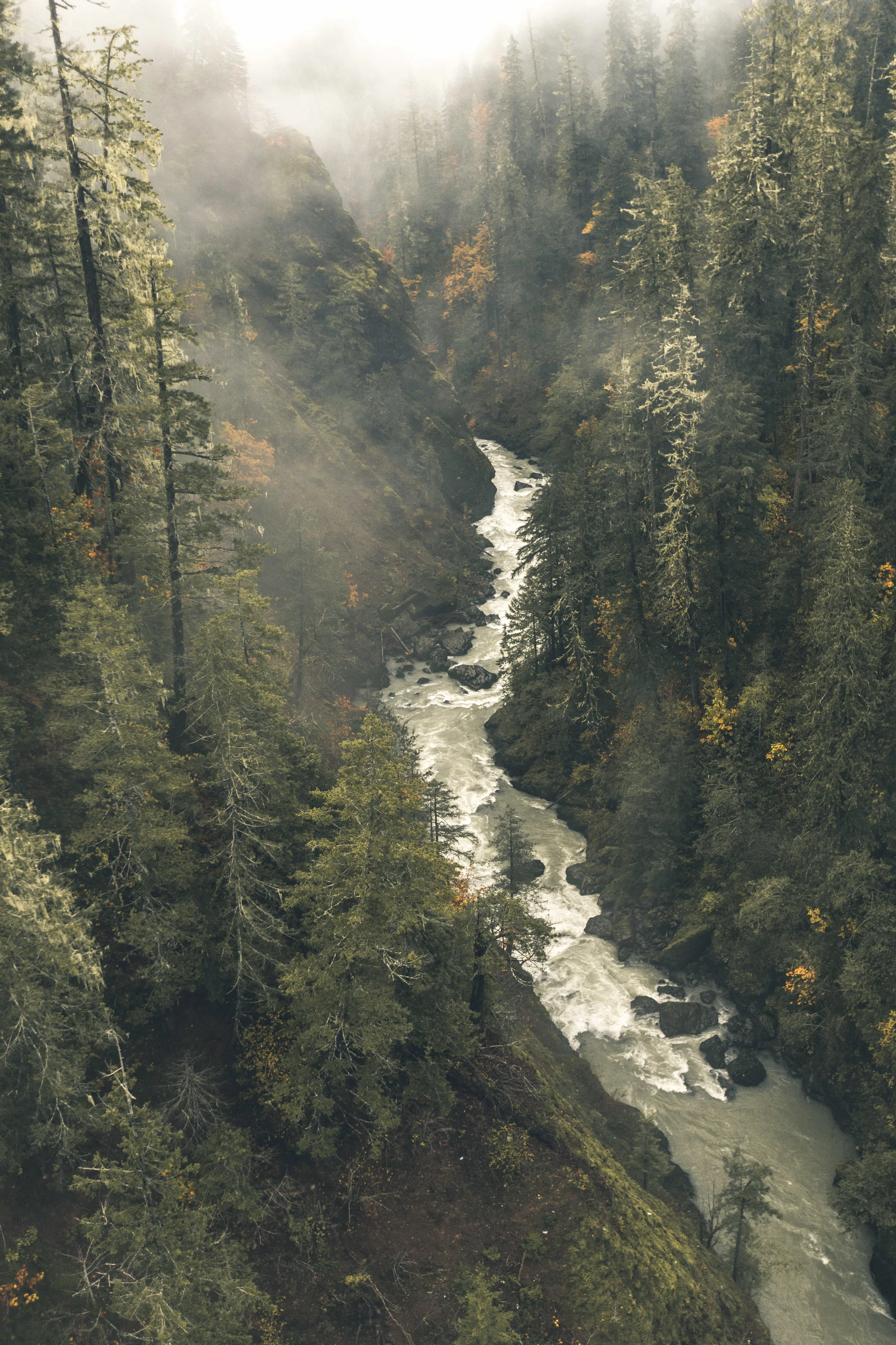 Vance Creek Under the Fog