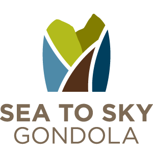 s2s-gondola.png