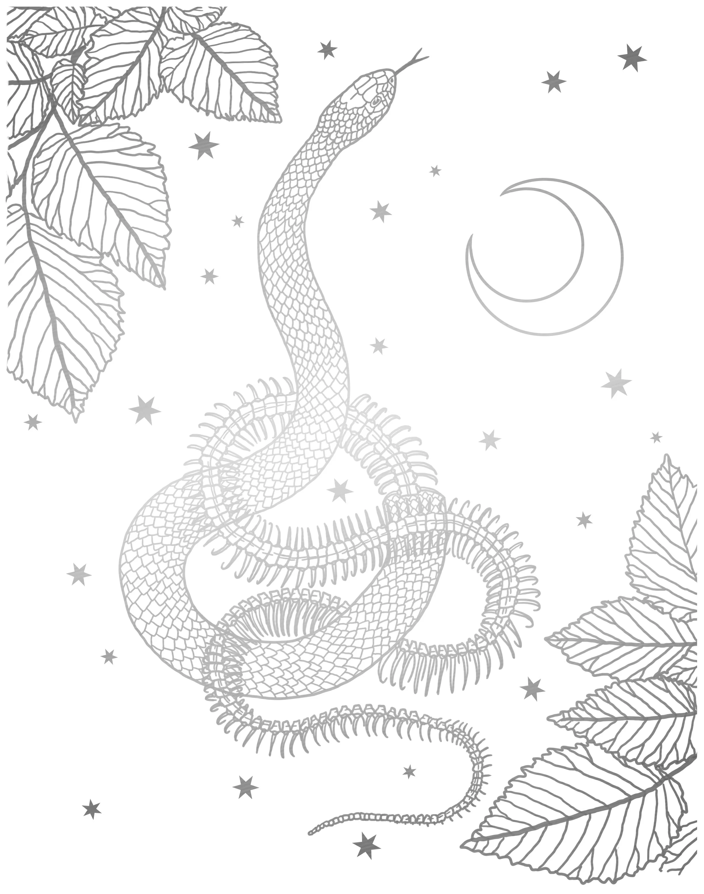 emilytaylorrogers-thefear-silverwhite.jpg