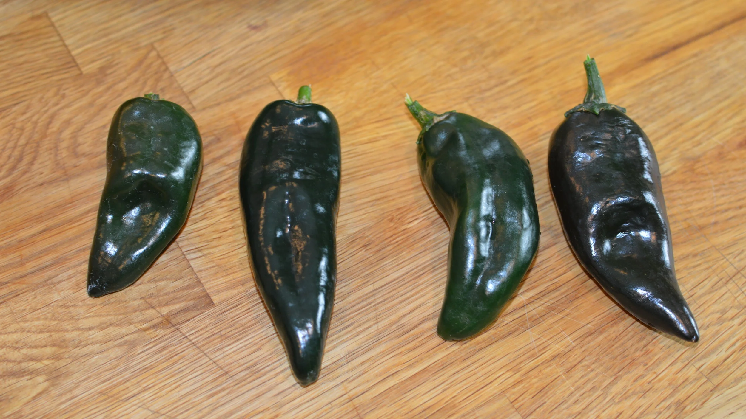 Poblano Peppers