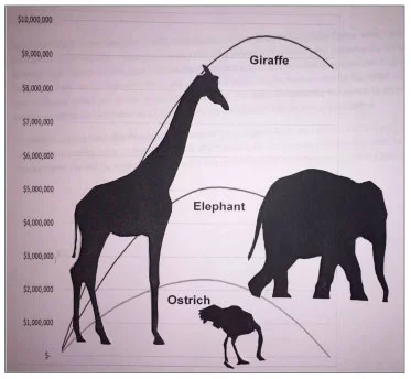 graph.jpg