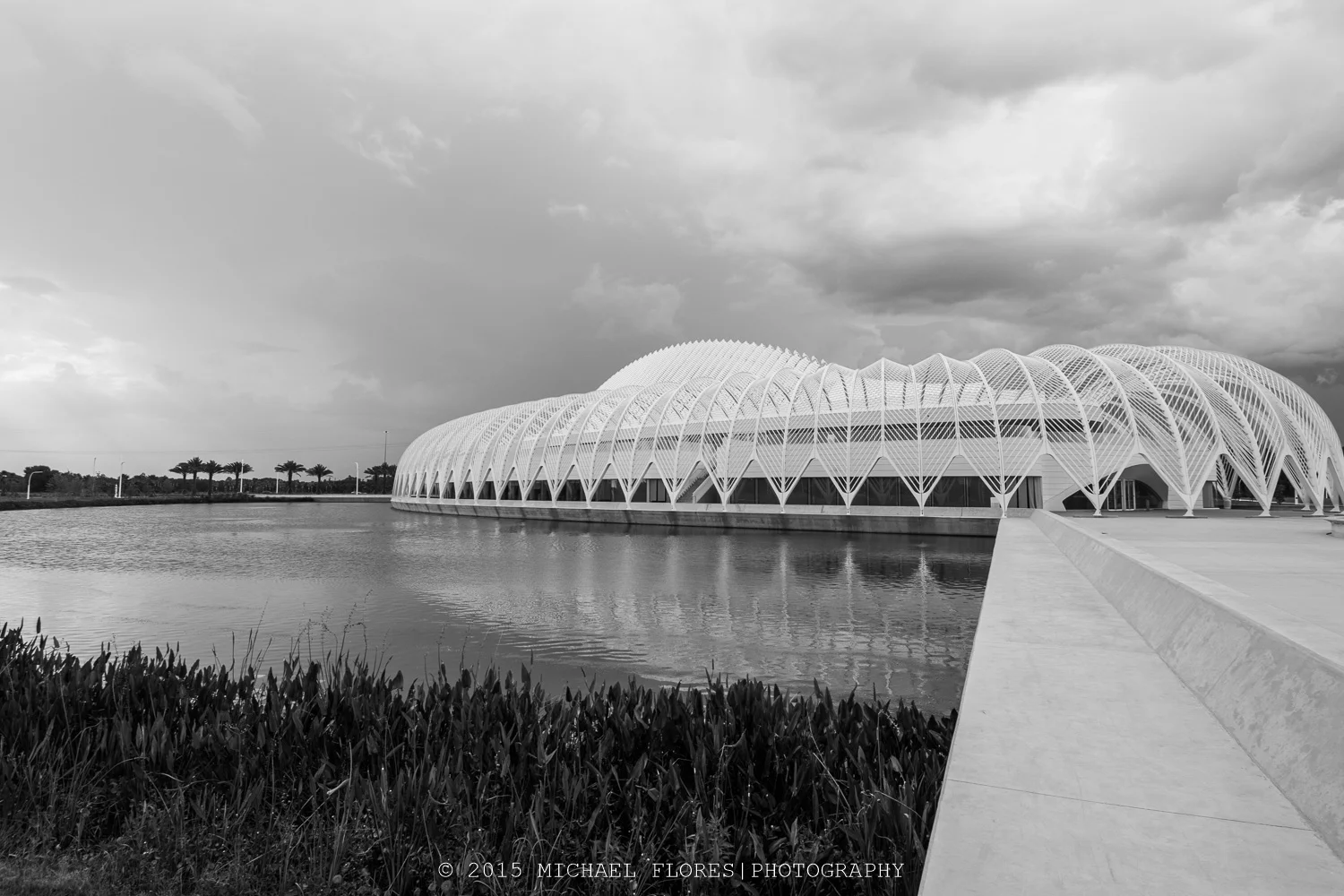 DSC_3196.jpg