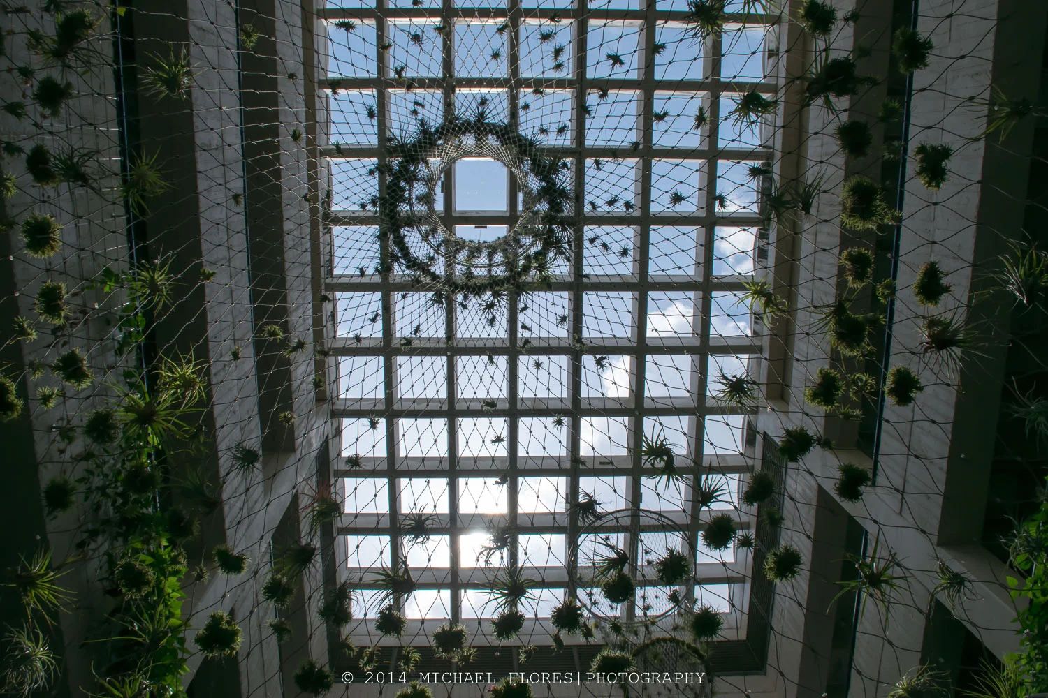 DSC_0659.jpg