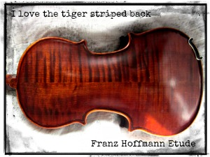 Franz Hoffmann Violin — The