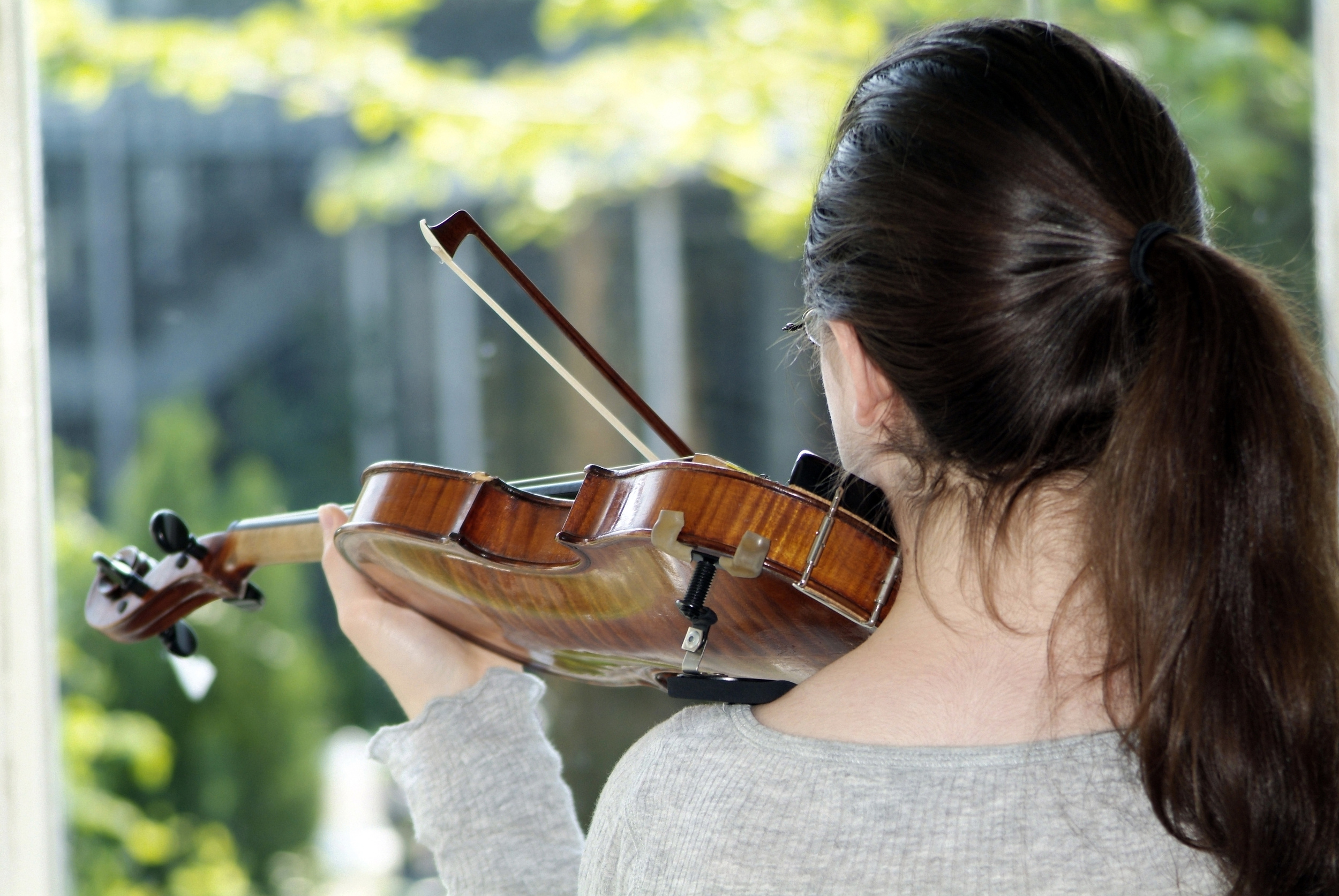 aktivt Ekstrem fattigdom Etablere Violin Shoulder Rest — The Violin