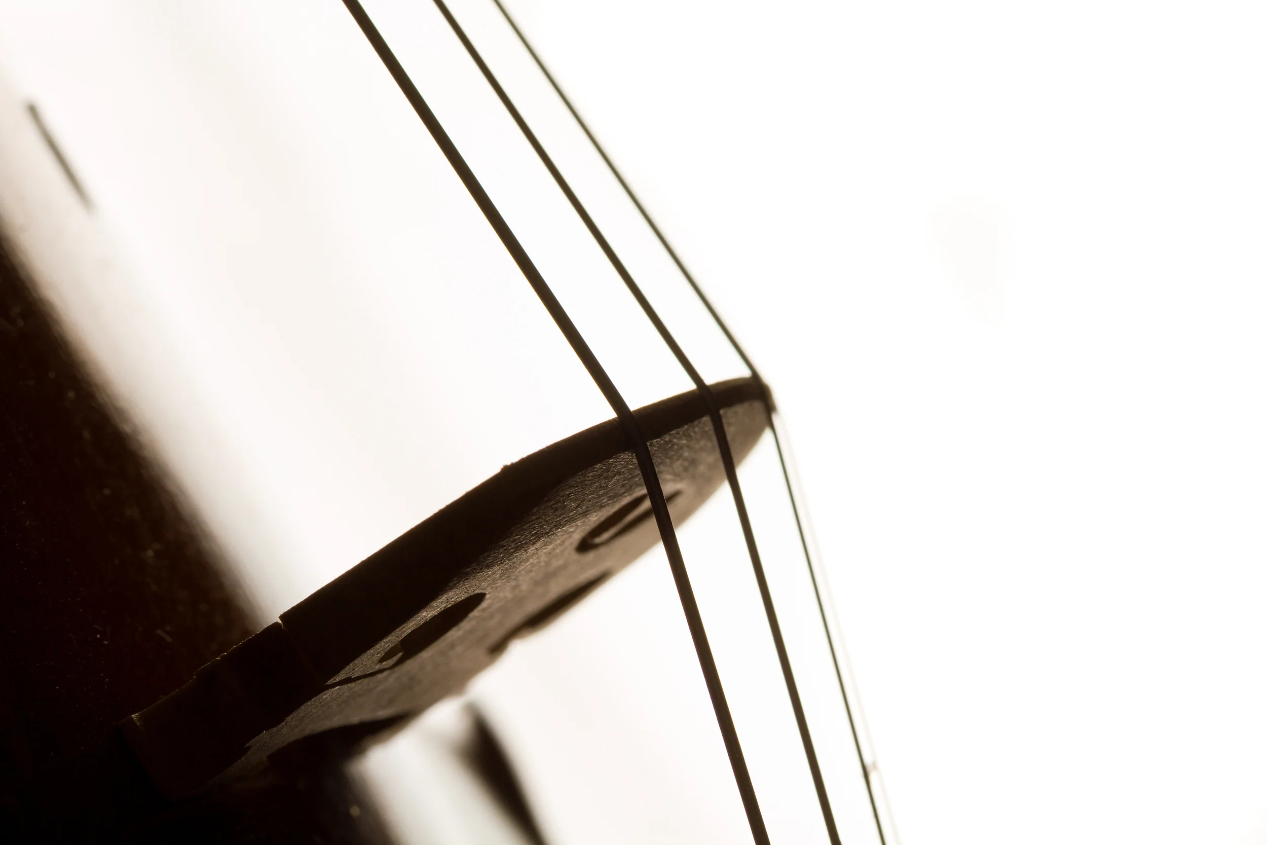 Violin Strings.jpg