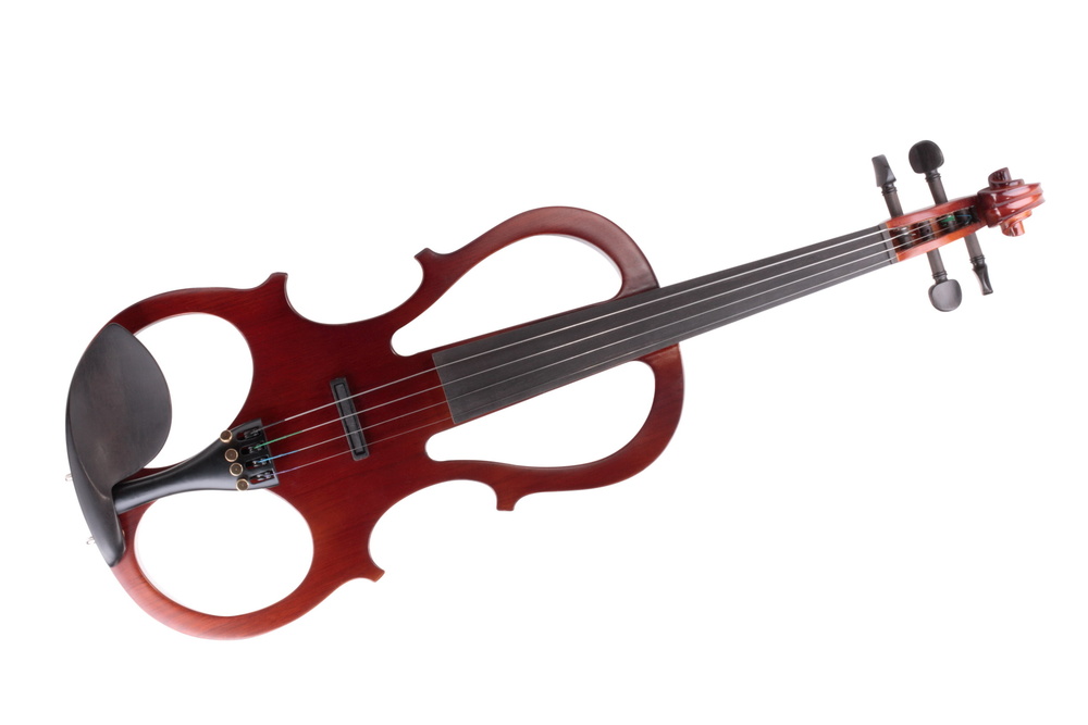 Tolk civilisere Skalk Electric Violin — The Violin