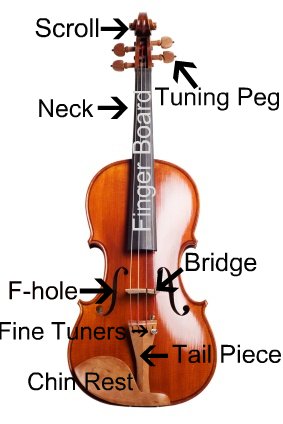 Parts — The Violin