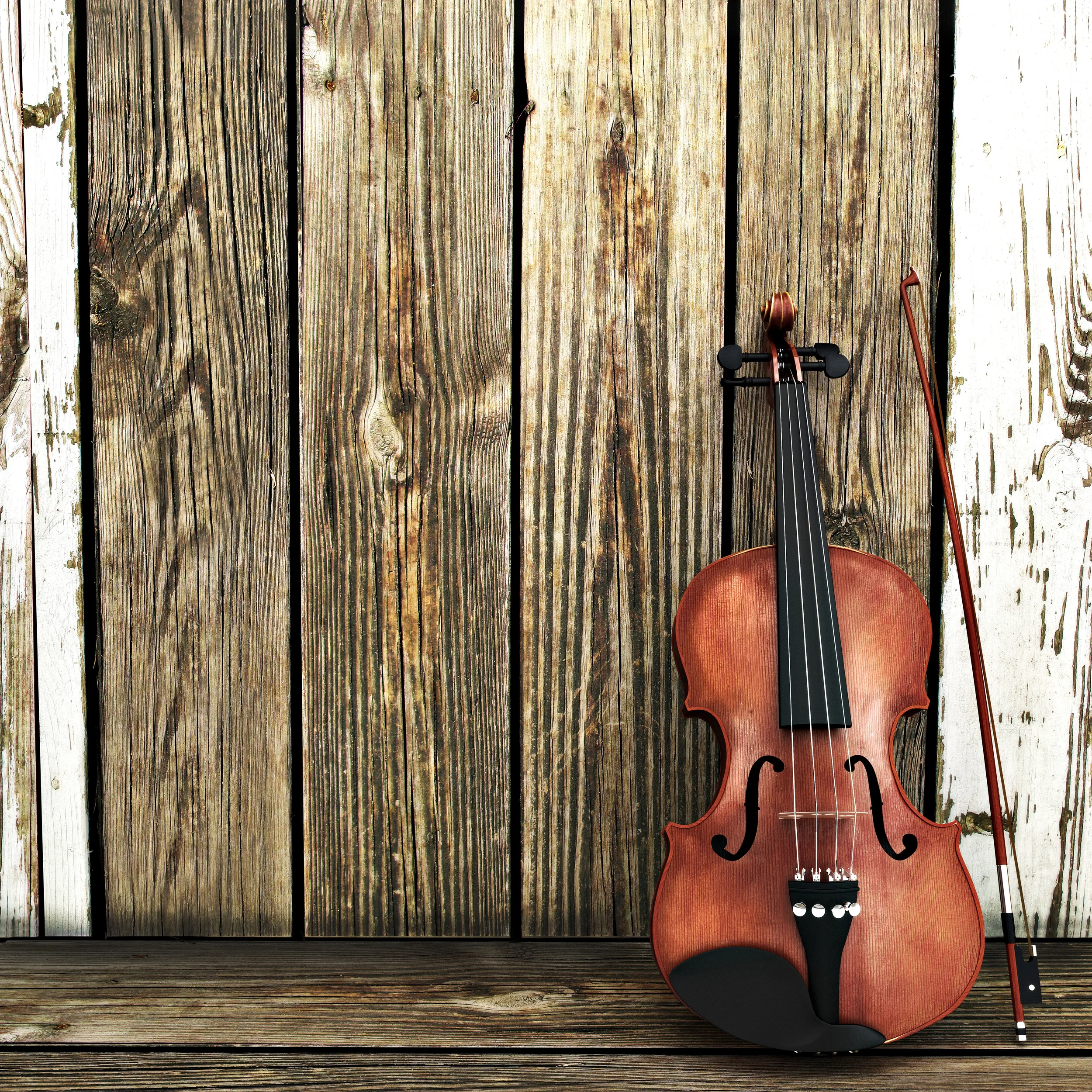 Fiddle Violin.jpg