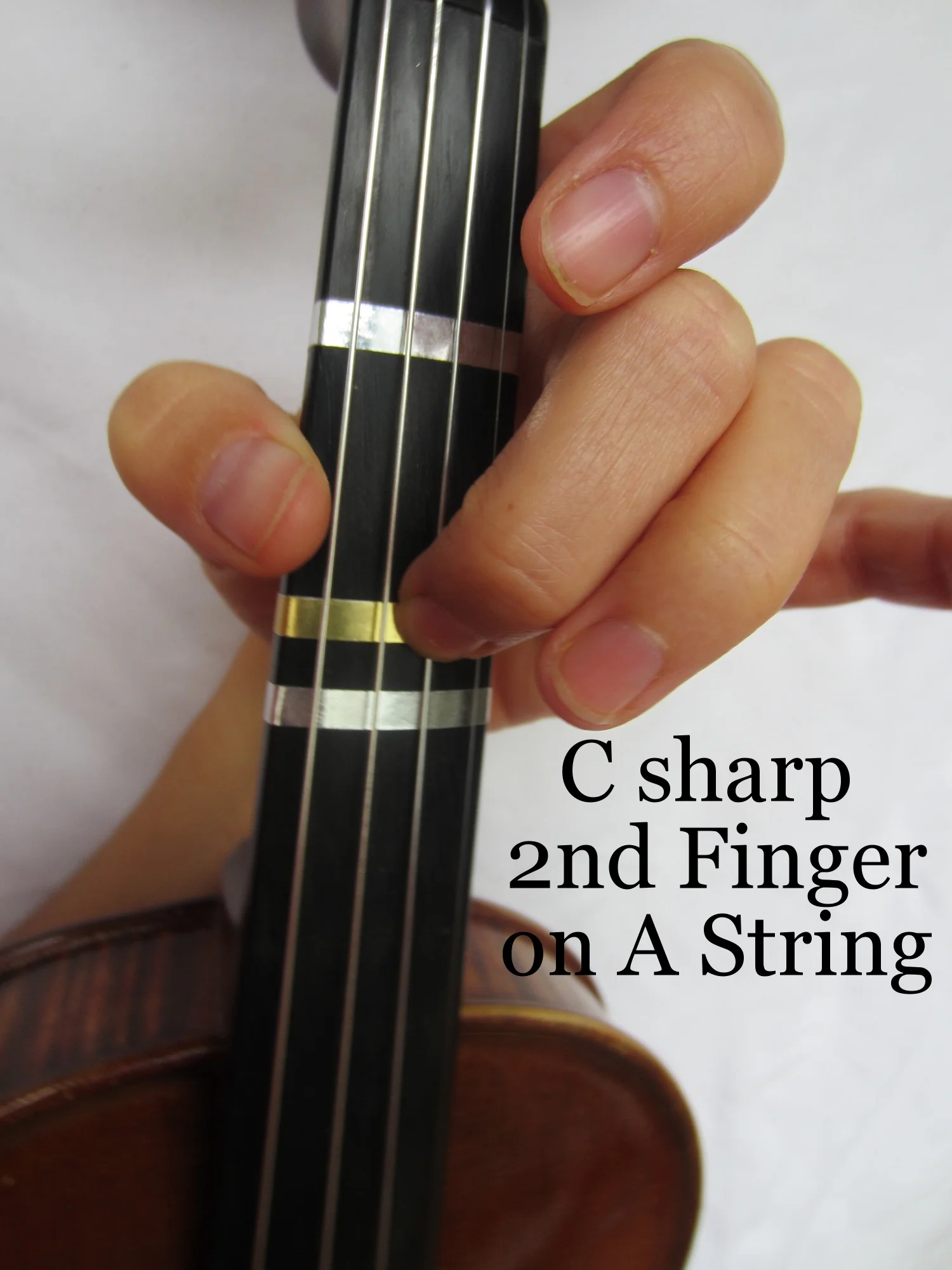 Violin Fingering C — The Violin