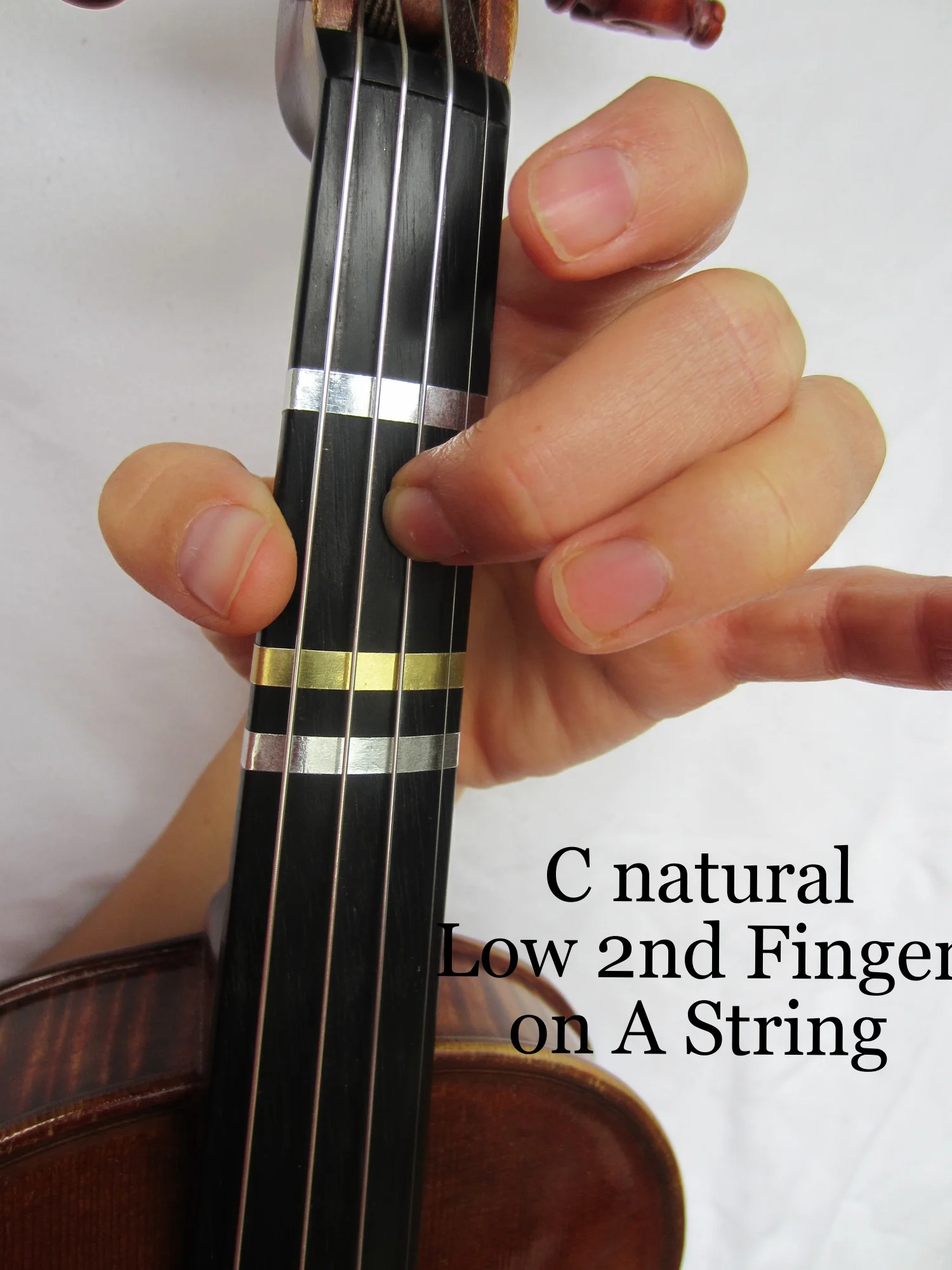 Violin Fingering C — The Violin