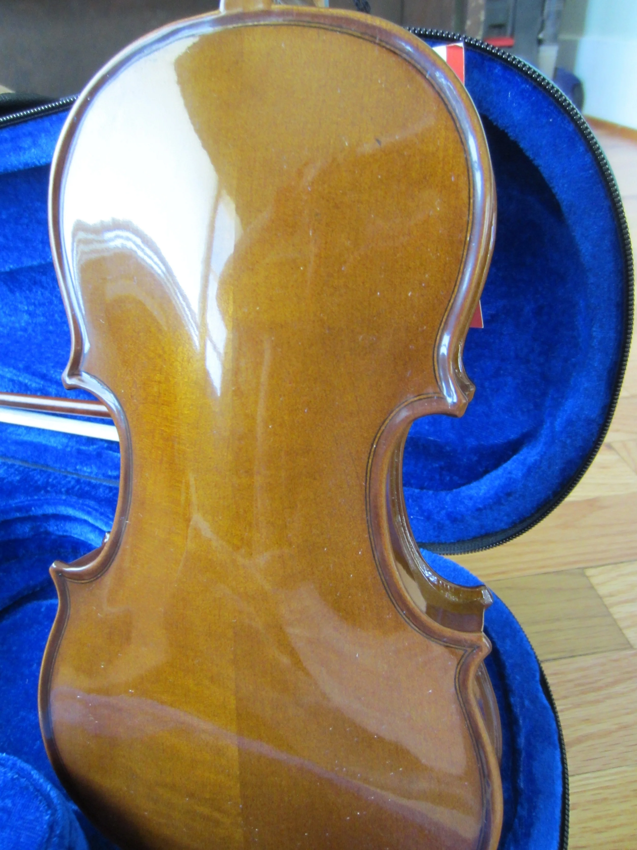 Stentor Violin Back