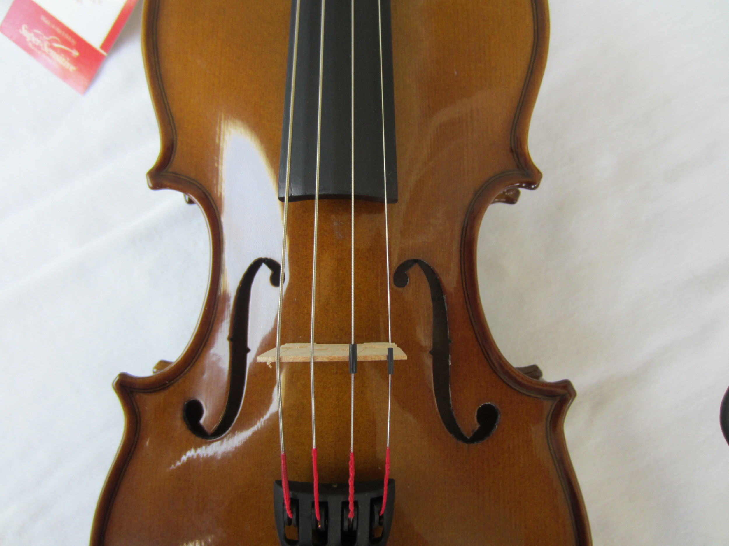 Stentor Violin Close Up