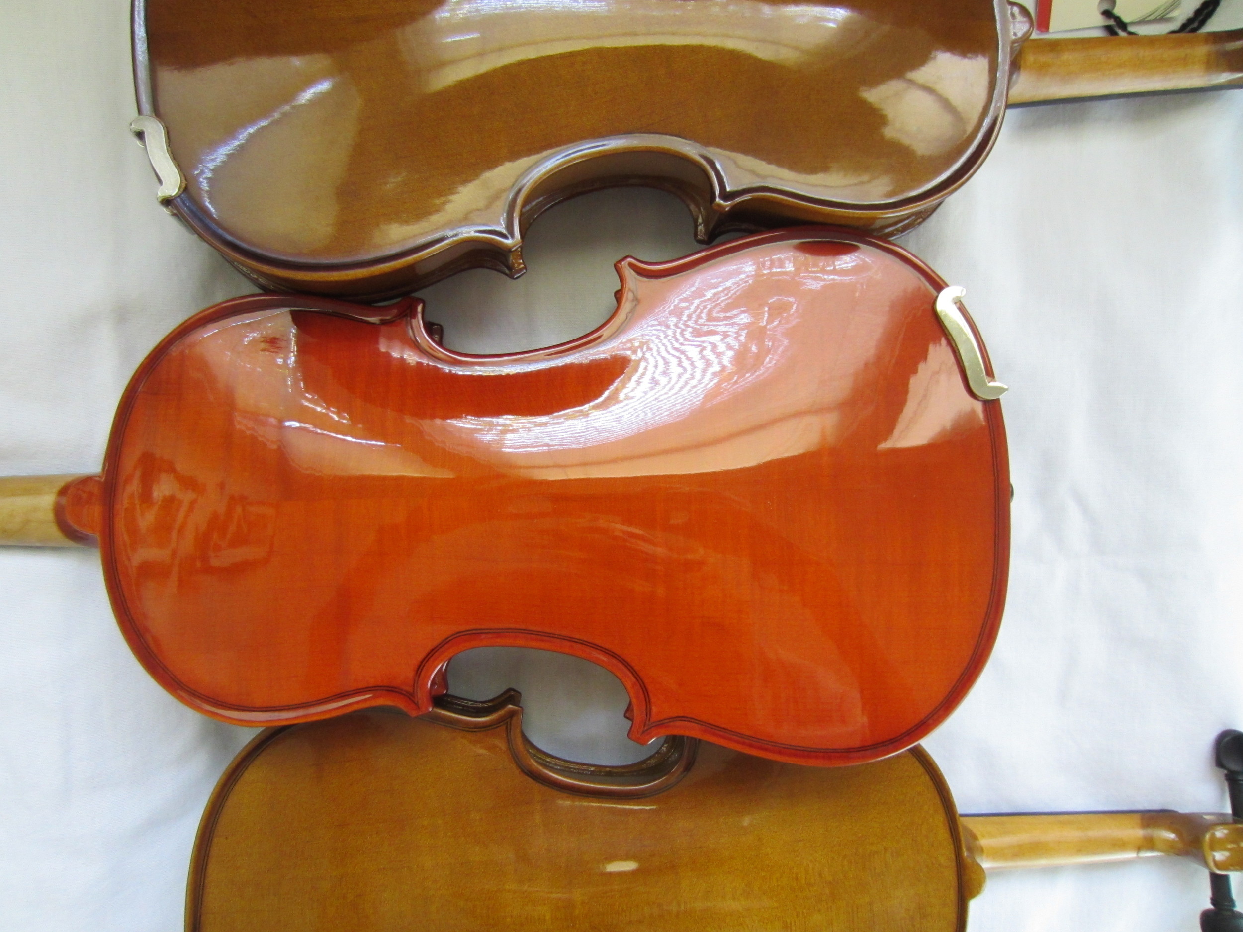 Back of Beginning Violins