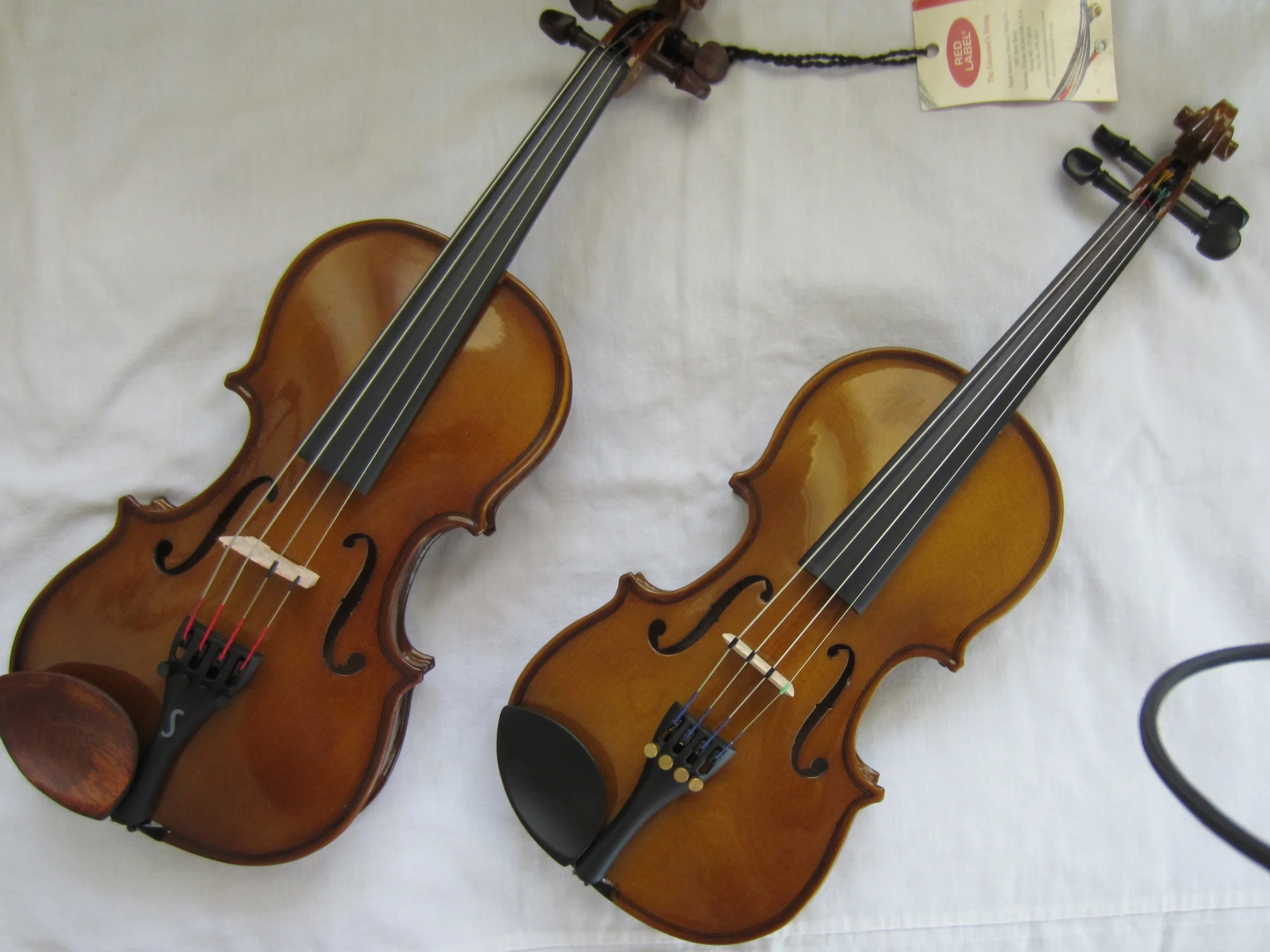 Violin for Beginners — The Violin