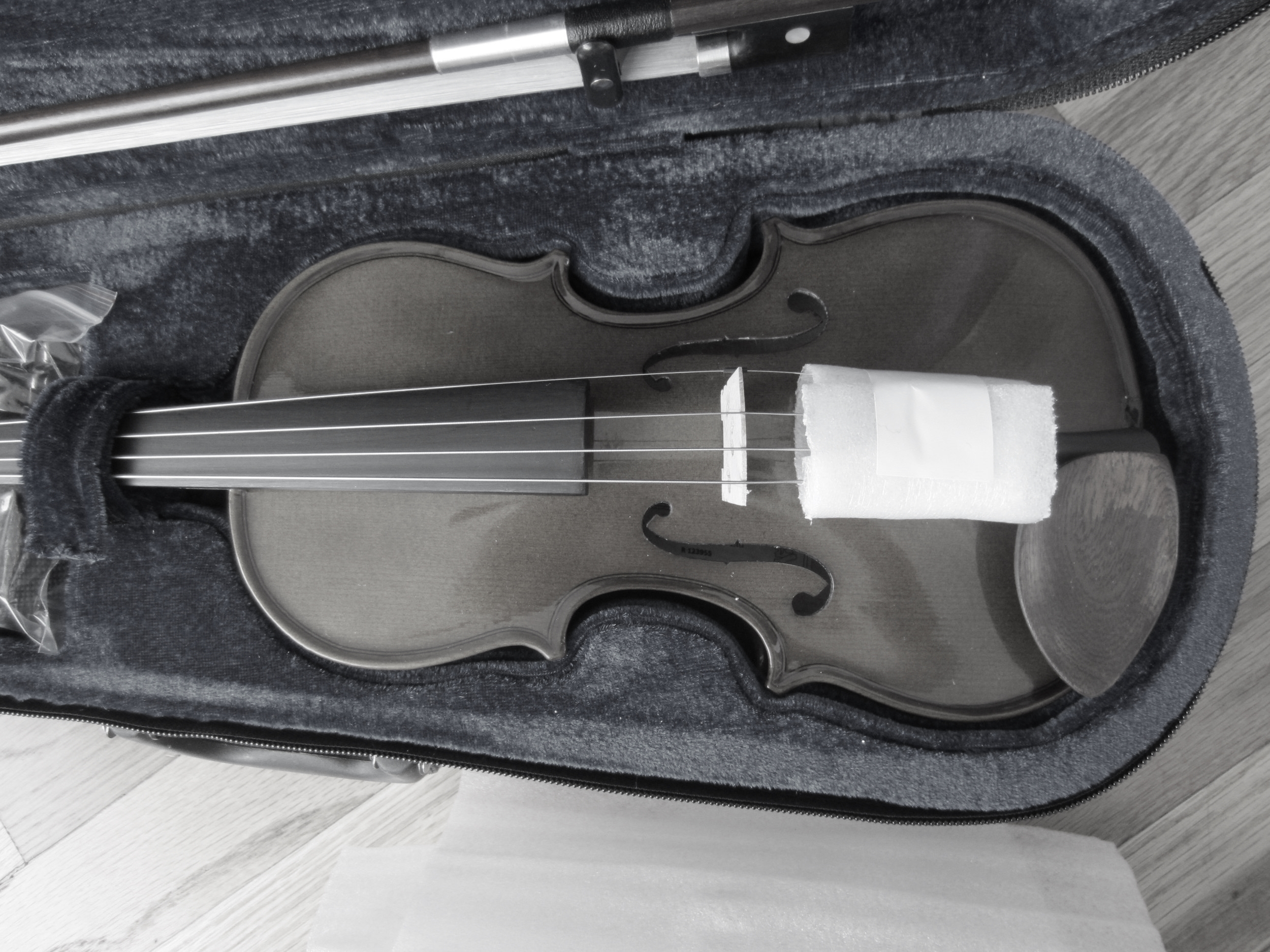 Must Read Before Purchasing you're Beginner Violin (plus my favorite chocolate chip cookie recipe)